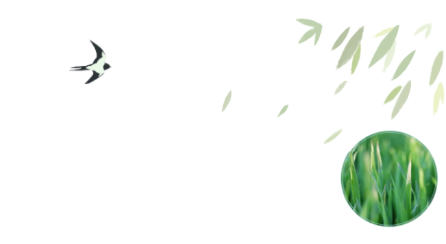 Ա�����ح�����ߡ����������˶���������