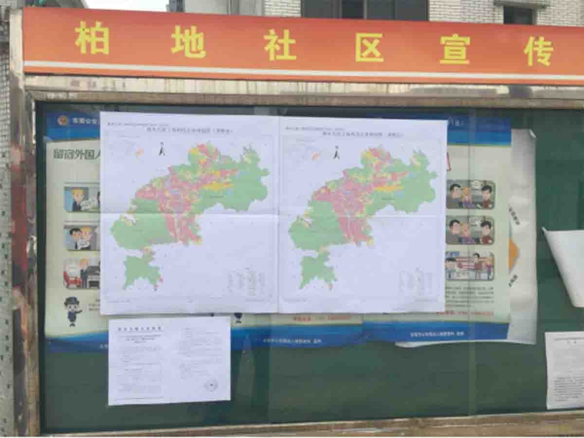 ��Ƥ��������滮��������