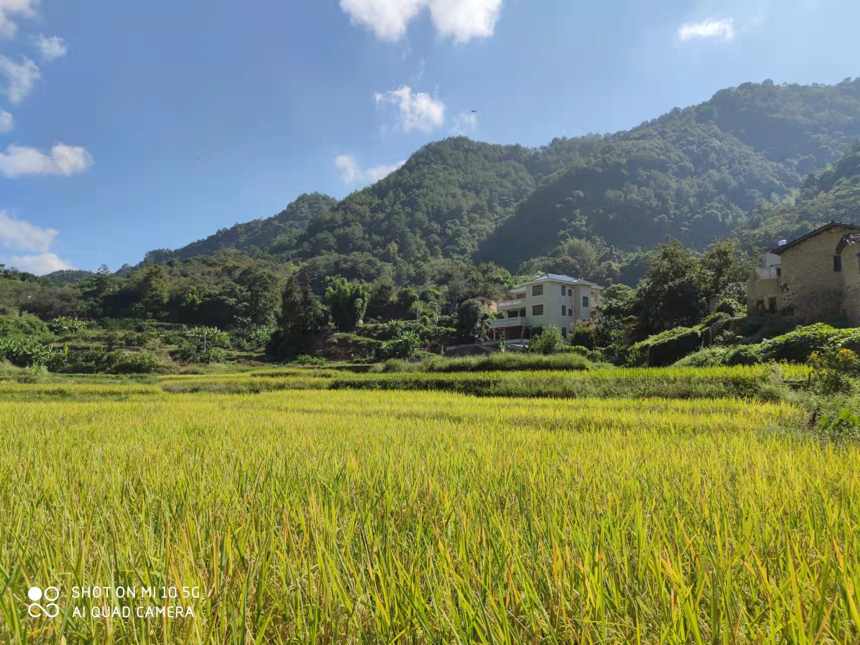 ��ԭ�����䣩������Ŀ��ô����CA88�л�˵