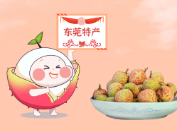 ����CA88حһ����װ���¡�����֦��