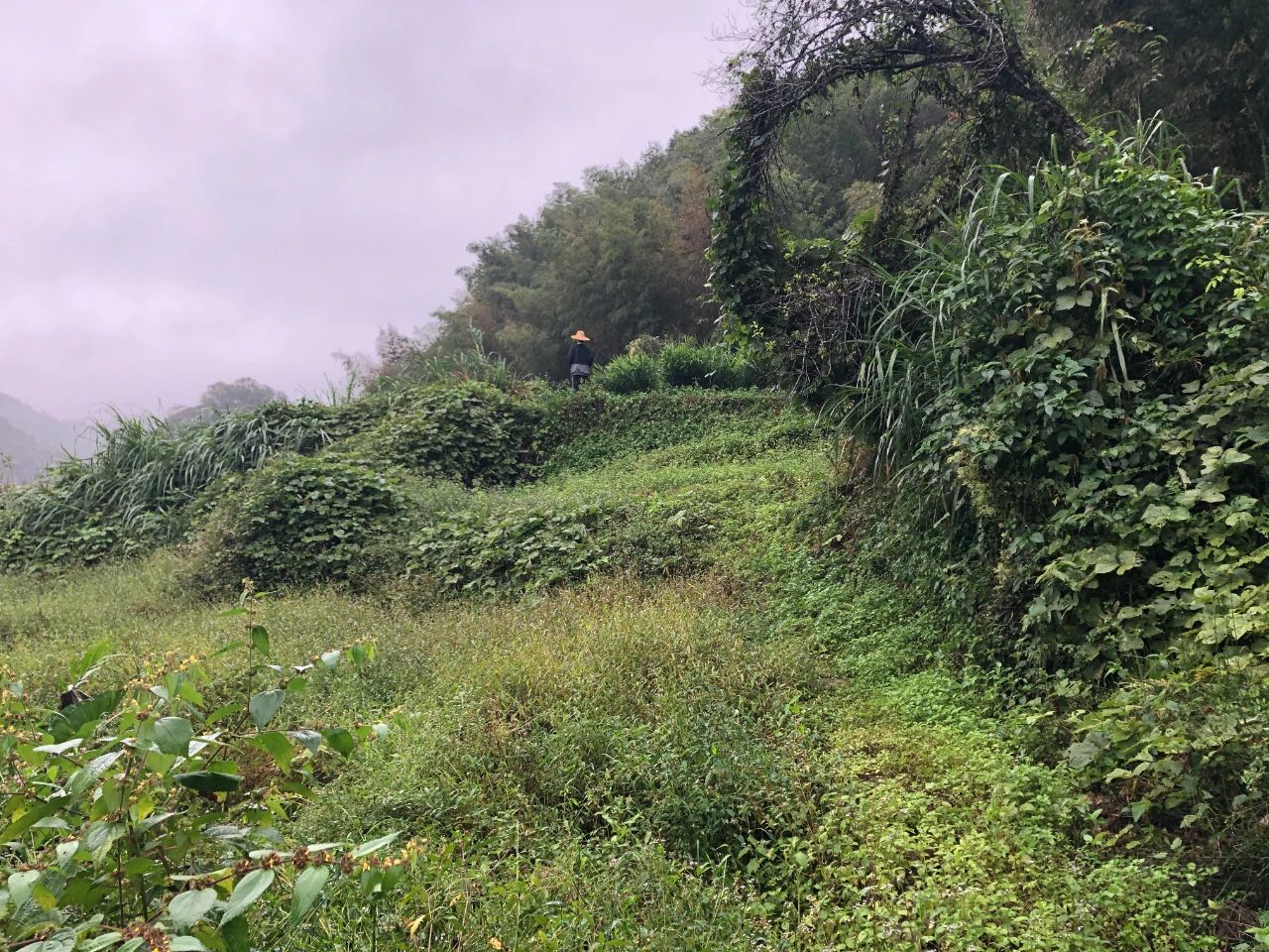 CA88�滮 | ��˾��Ƥ������Ŀ�����ٵ��������ĵر��������ǻ�÷ᾰ