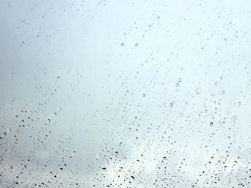 ��Ȧ��ح�����죺�����˵ļ����뵫Ը