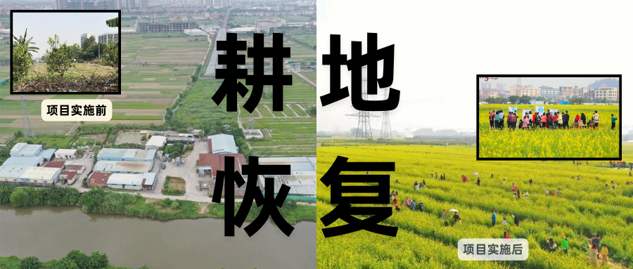 ���ر����뾭�÷�չ���ڡ�����ݸ�к����˫������ǧĶ������Ŀ���ظ�ԭ������ںϵĴ���ʵ��