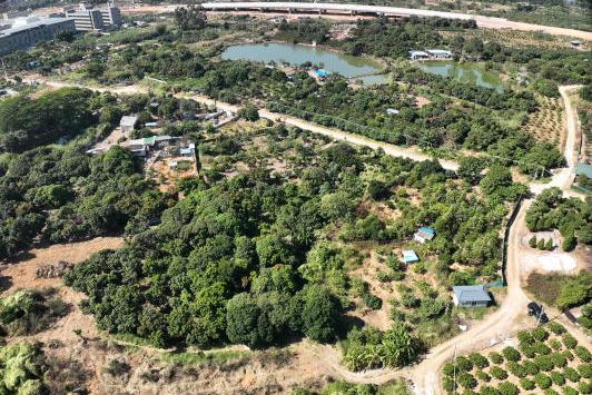 ���߽��+ʵս�������㶫��ũ�������������CA88������ƾָ��ر���