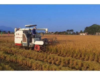 CA88������滮��˾�ٻ񡰸��ر���������ʿ��Ԫ����