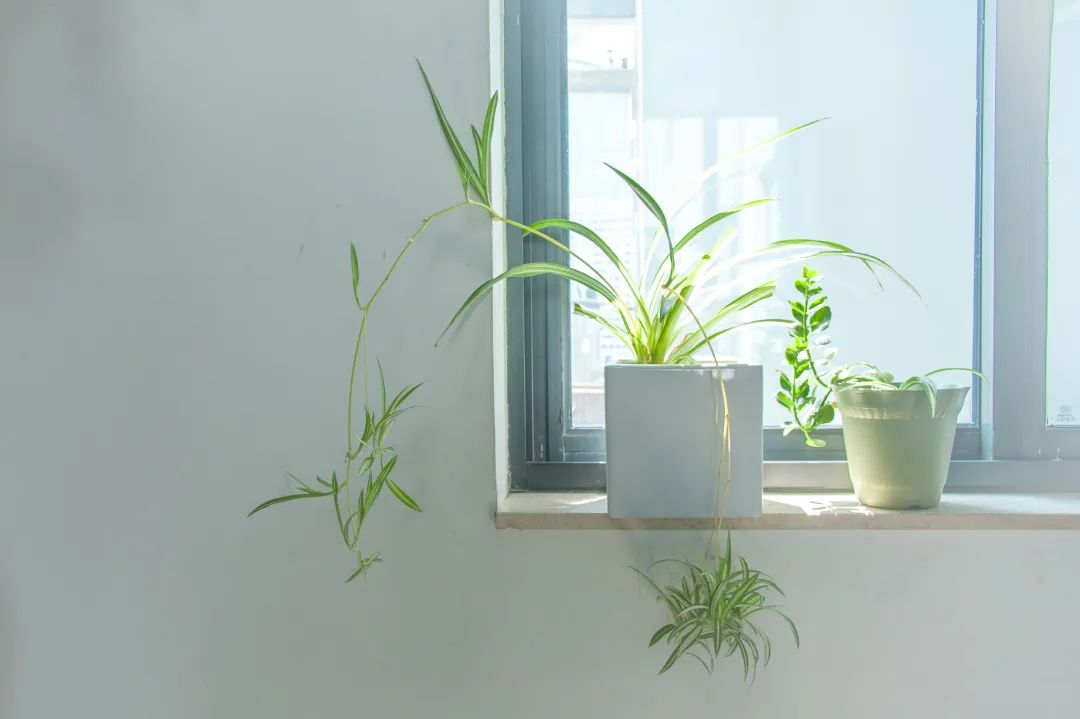 1667284280193823 00.jpg