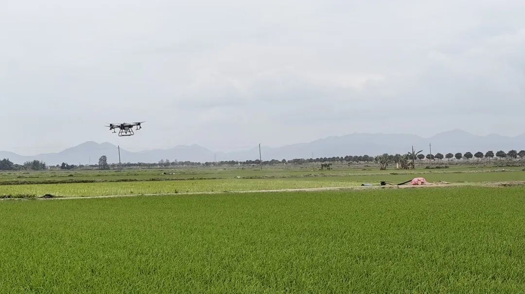 1681695732549425 204.jpg