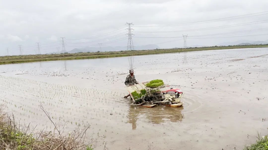 1681695739835382 205.jpg